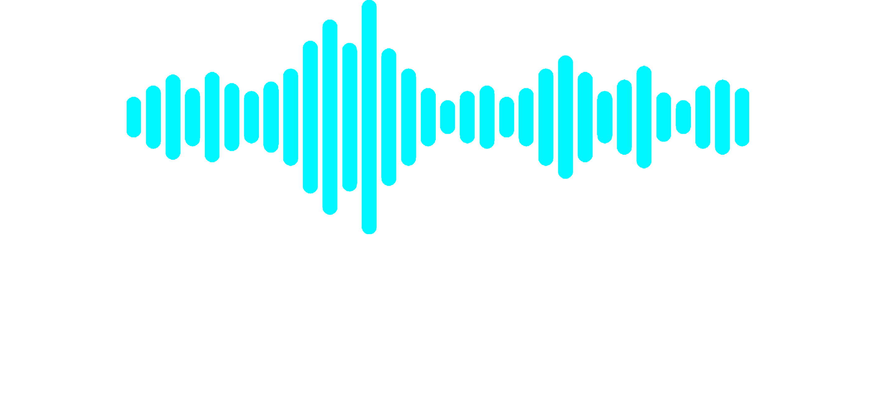 Synthetic Station